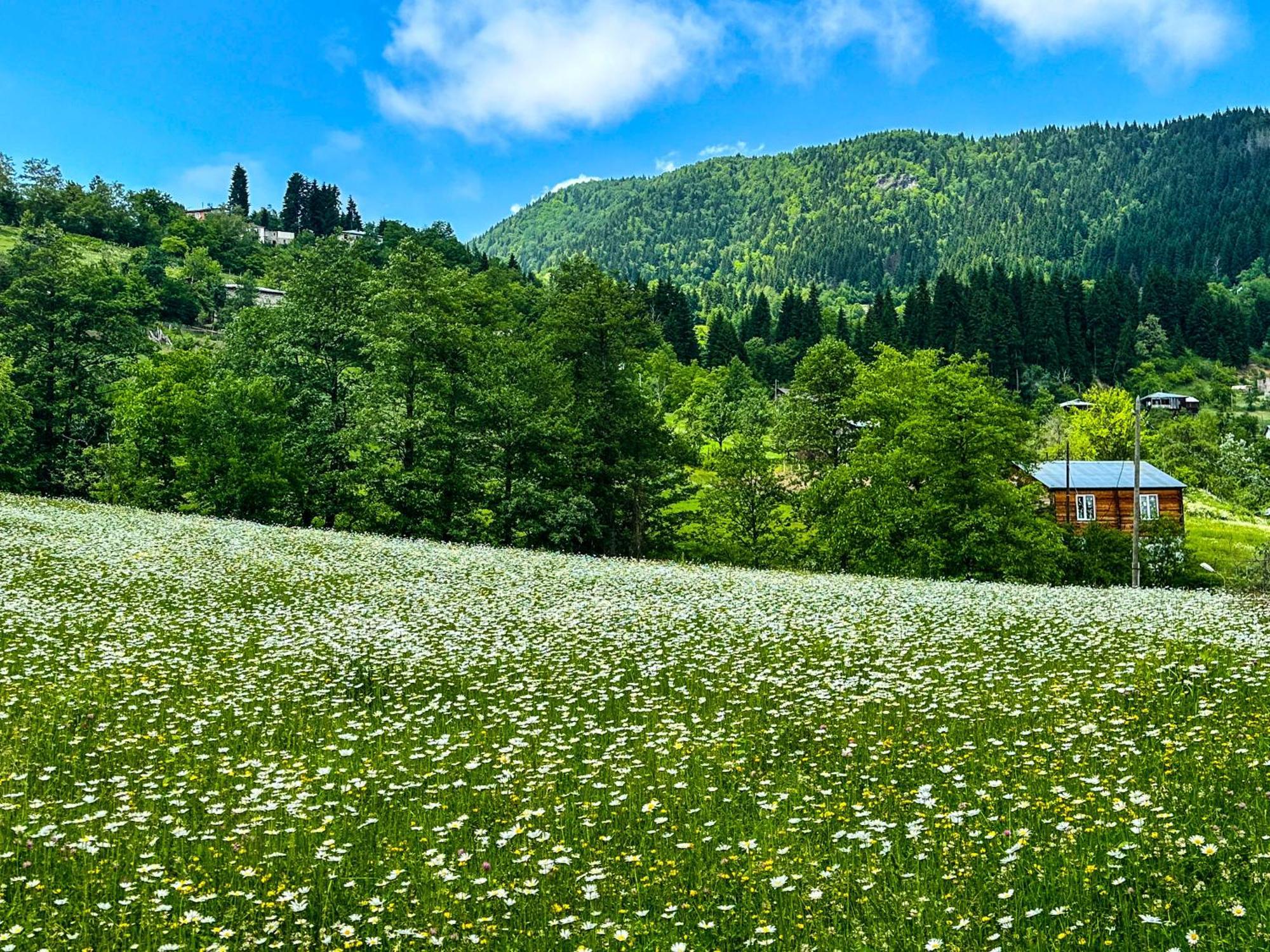 Hotel Armazi Khulo Exteriér fotografie