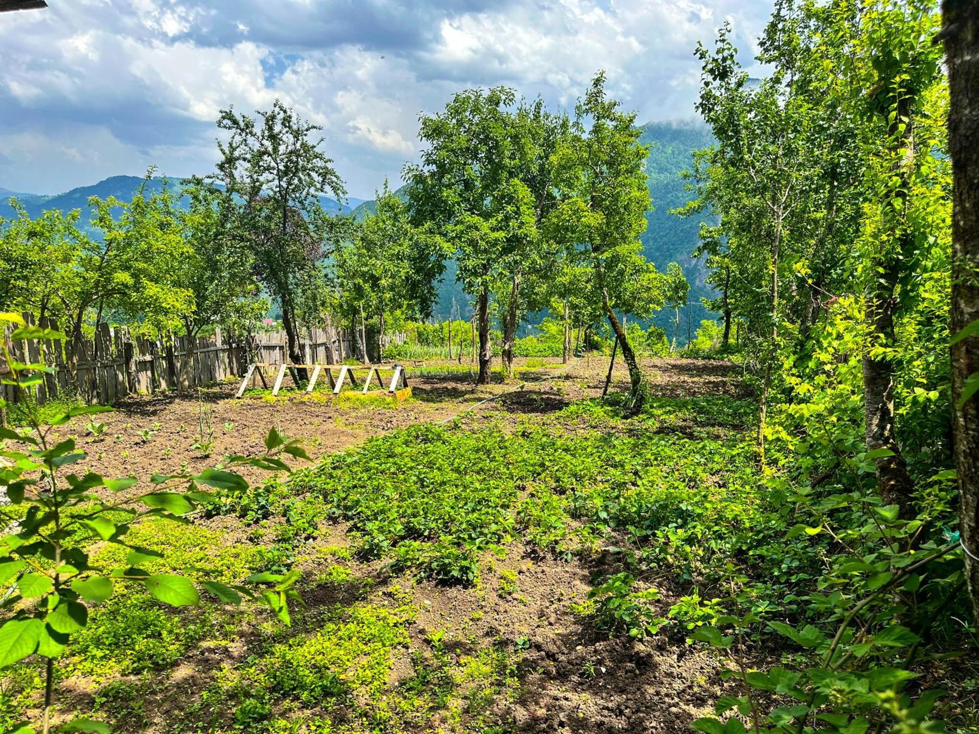 Hotel Armazi Khulo Exteriér fotografie