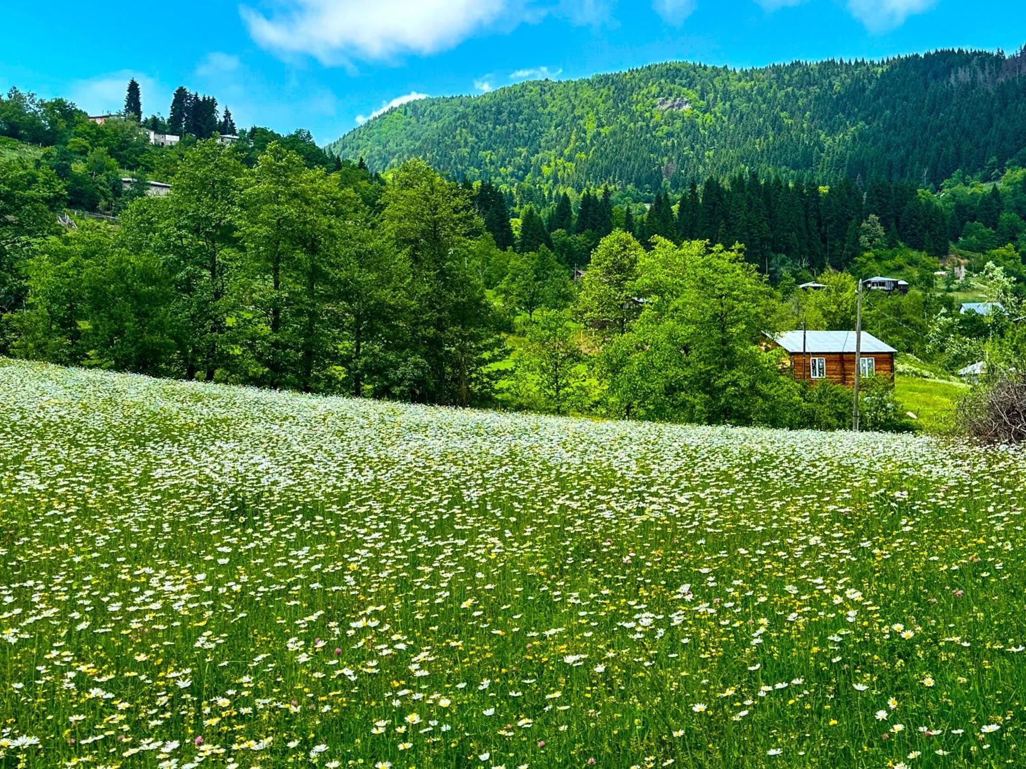 Hotel Armazi Khulo Exteriér fotografie
