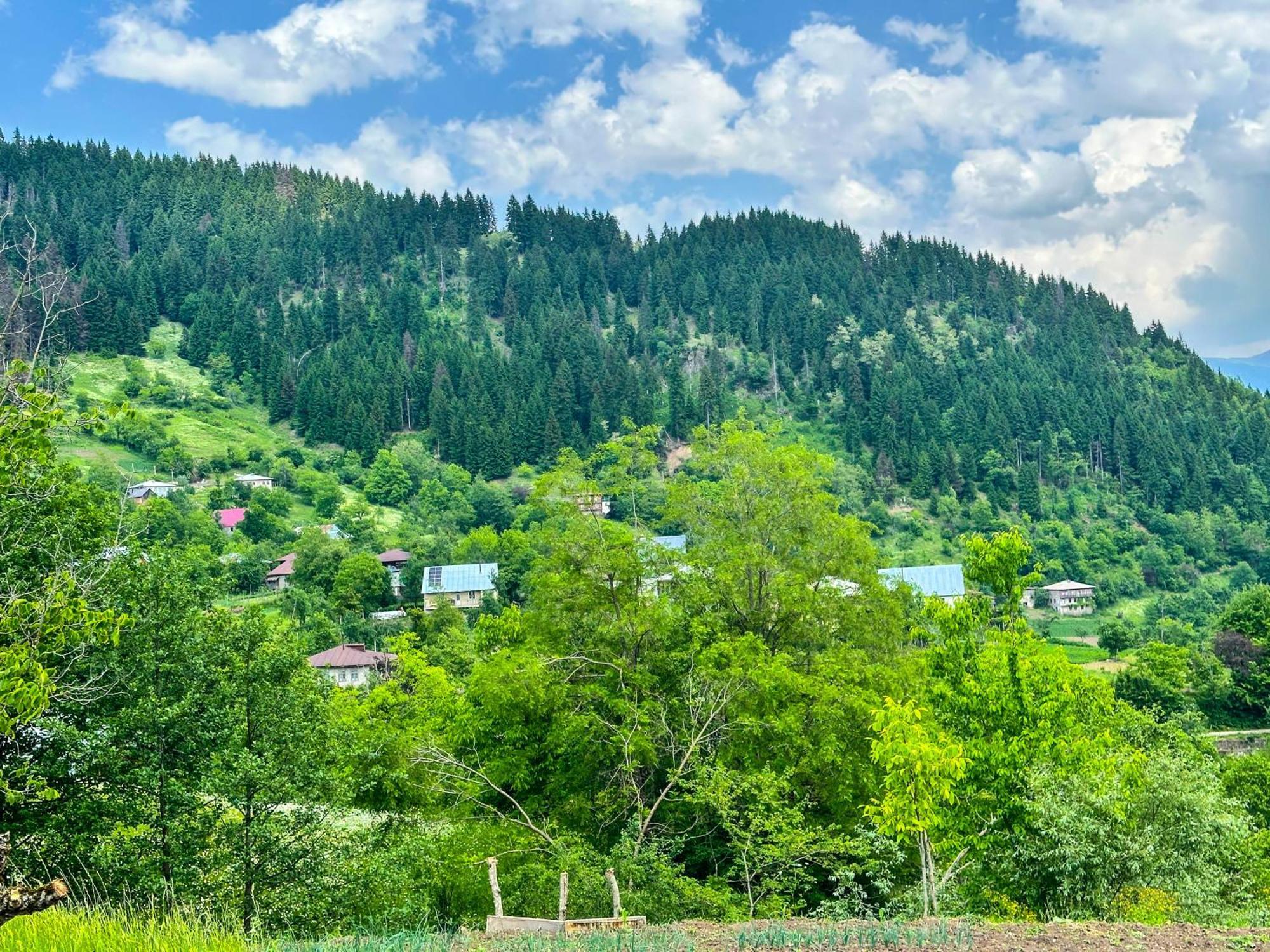 Hotel Armazi Khulo Exteriér fotografie